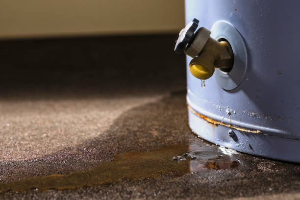 Best 24-hour water damage restoration  in Franklin, CA
