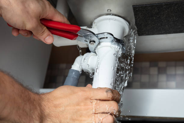 Best Ceiling water damage repair  in Franklin, CA