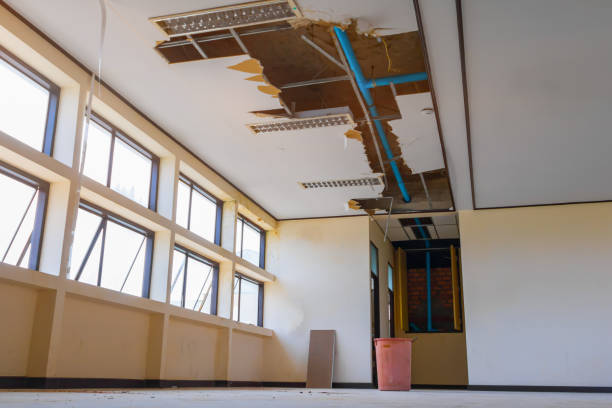 Best Water damage contractors near me  in Franklin, CA