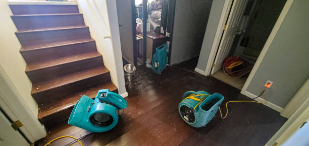 Best Local water damage restoration  in Franklin, CA