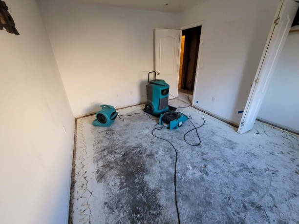 Best Flooded house restoration  in Franklin, CA