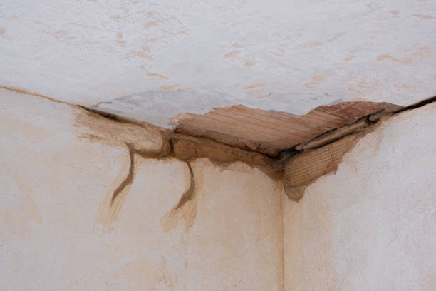 Best Flooded house restoration  in Franklin, CA