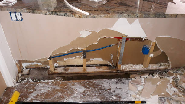Best Water damage restoration near me  in Franklin, CA