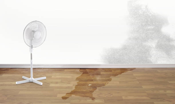 Best Sewage cleanup and water damage restoration  in Franklin, CA