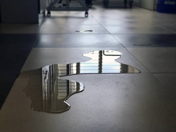 24/7 water damage repair in Franklin, CA