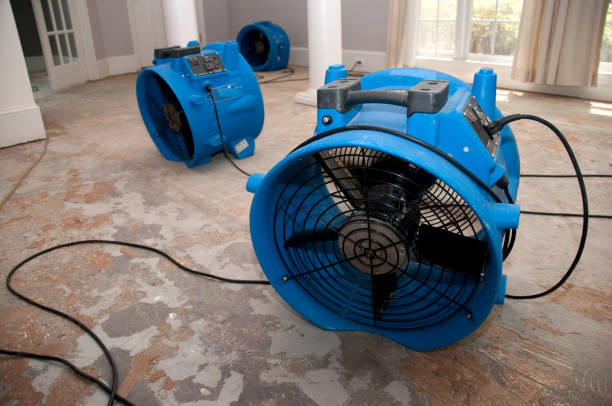 Reliable Franklin, CA Water damage restoration Solutions